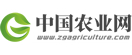 中國農(nóng)業(yè)網(wǎng)